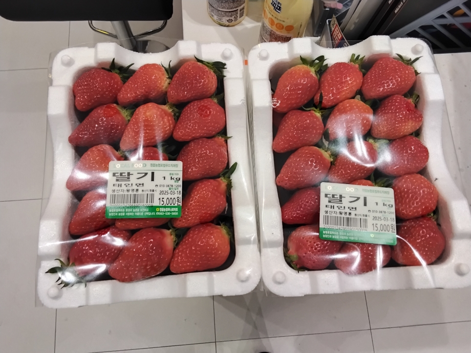 http://www.jongrodental.co.kr/bs/userimg/fileu/1744856272_KakaoTalk_20250417_101001770.jpg