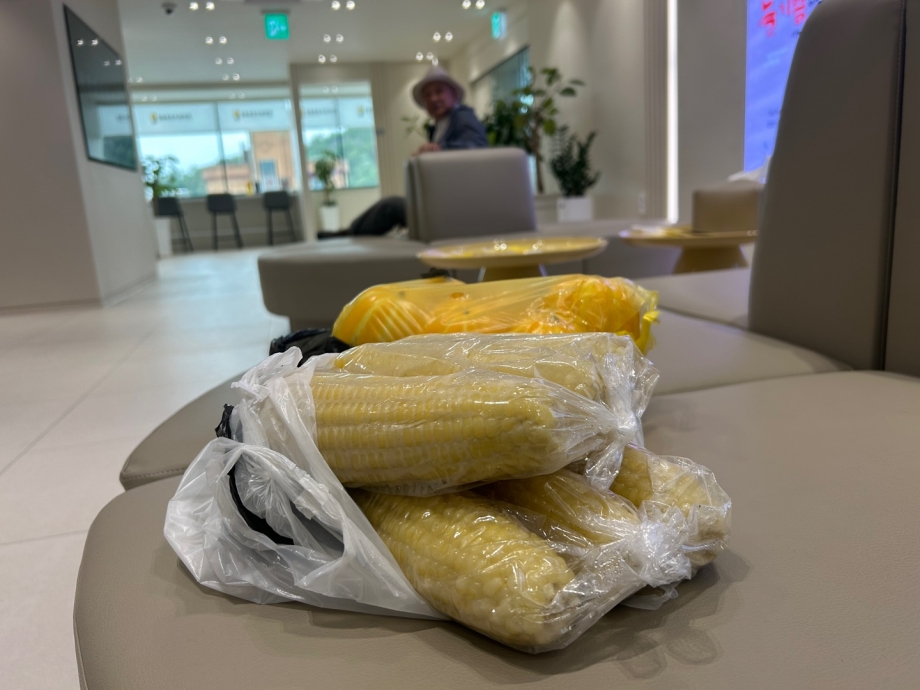 http://www.jongrodental.co.kr/bs/userimg/fileu/1747444884_KakaoTalk_20250517_101019860.jpg