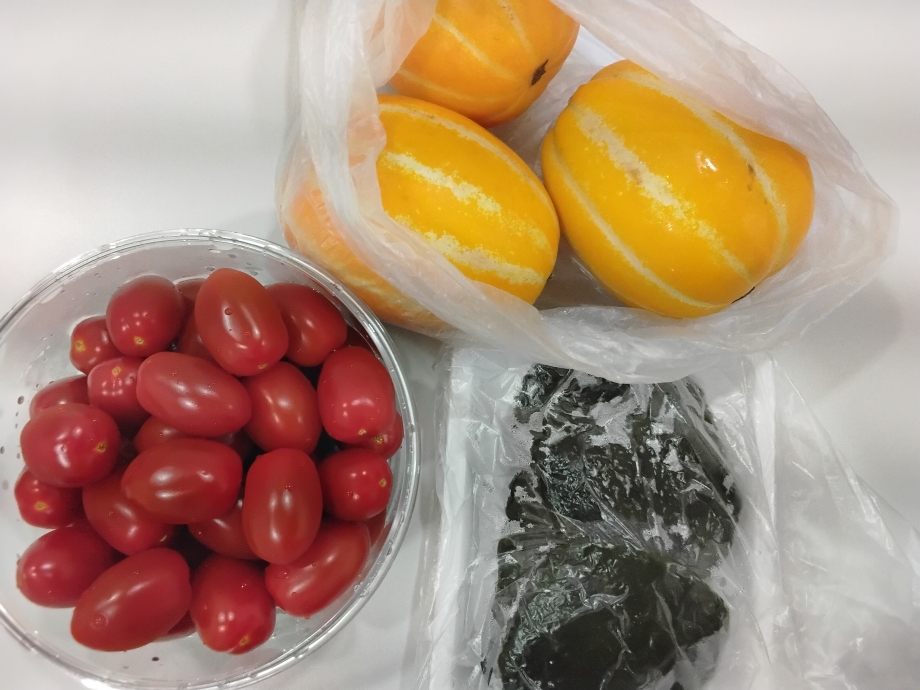 http://www.jongrodental.co.kr/bs/userimg/fileu/1748822032_KakaoTalk_20250602_085109197.jpg
